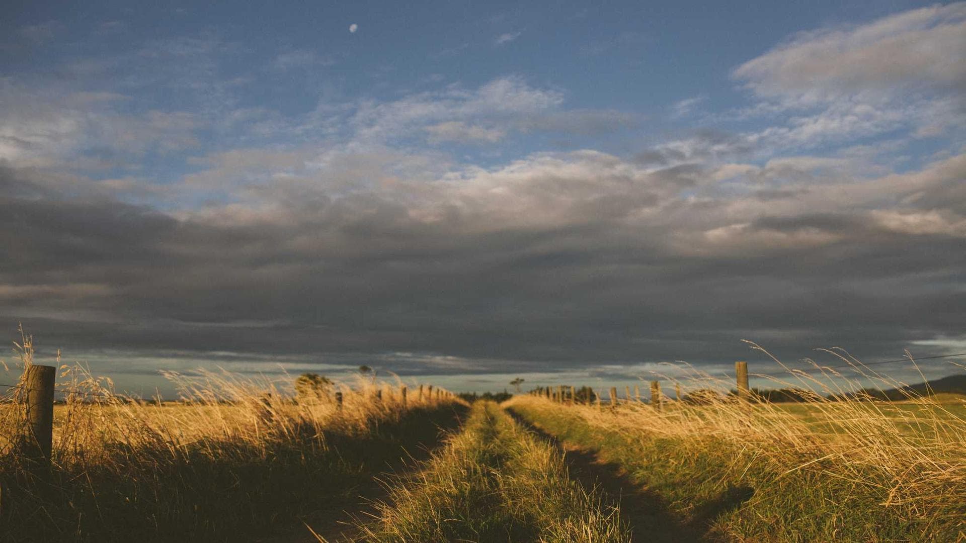 Artisan au travail sur un chantier
