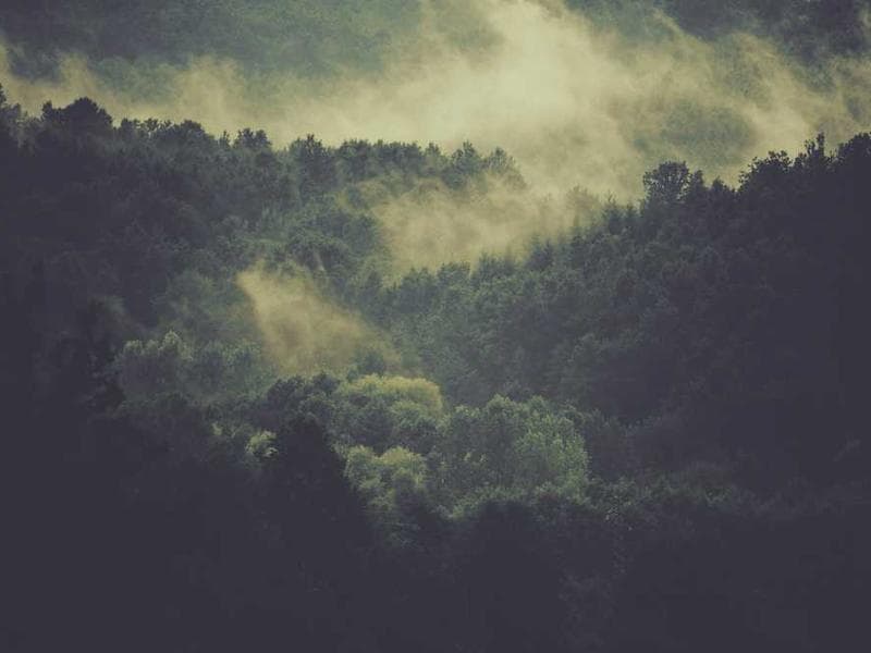 Une approche sensible du design intérieur.