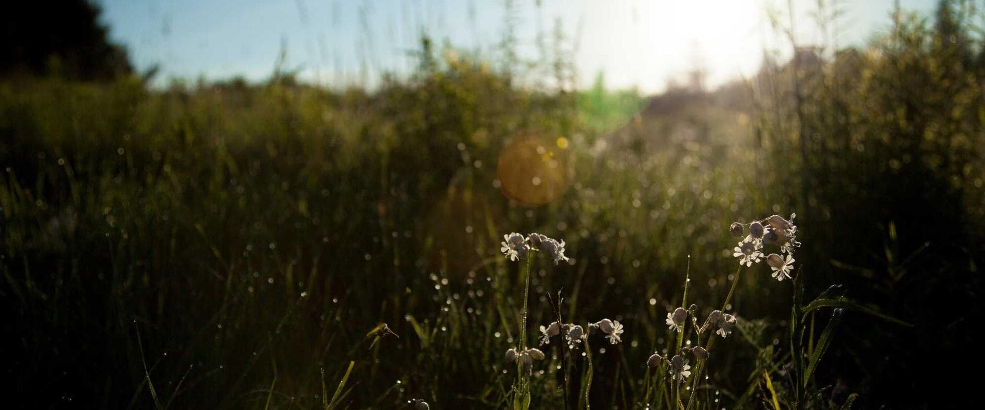 Réhabiliter sans dénaturer : le défi de la rénovation contemporaine